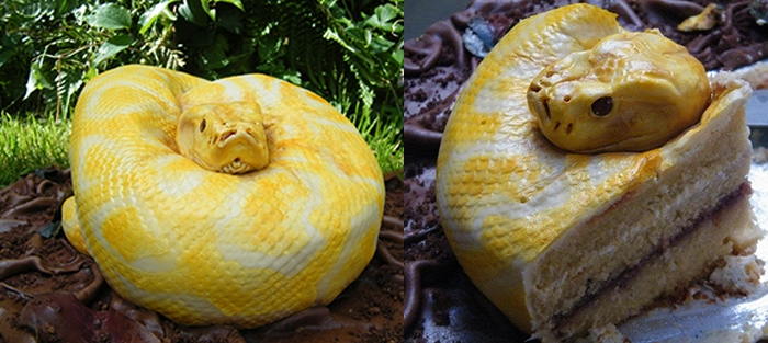 These Are All Cakes - Snake Cake