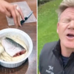 Gordon Ramsay Tik Tok