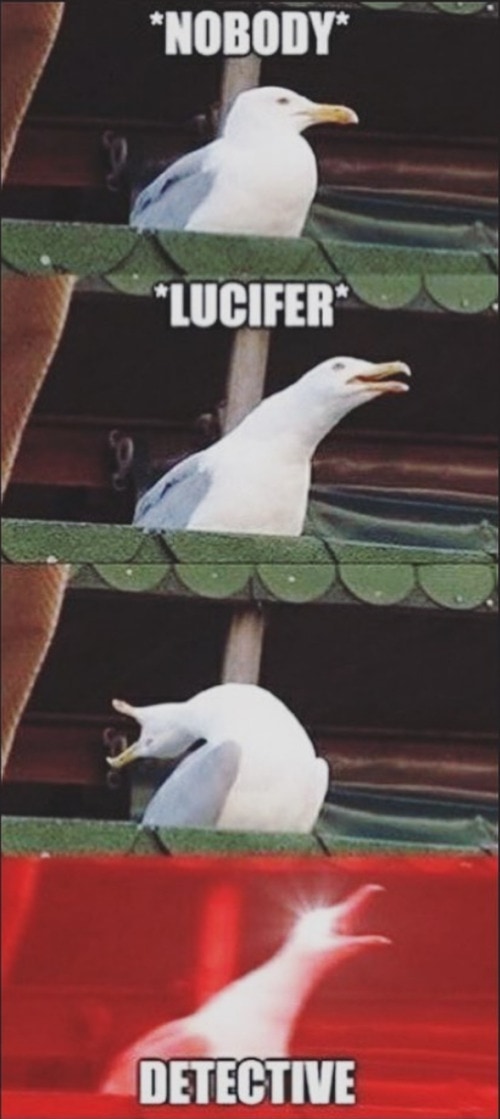 Lucifer Memes - Seagull