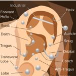 Types of Ear Piercings - Pin