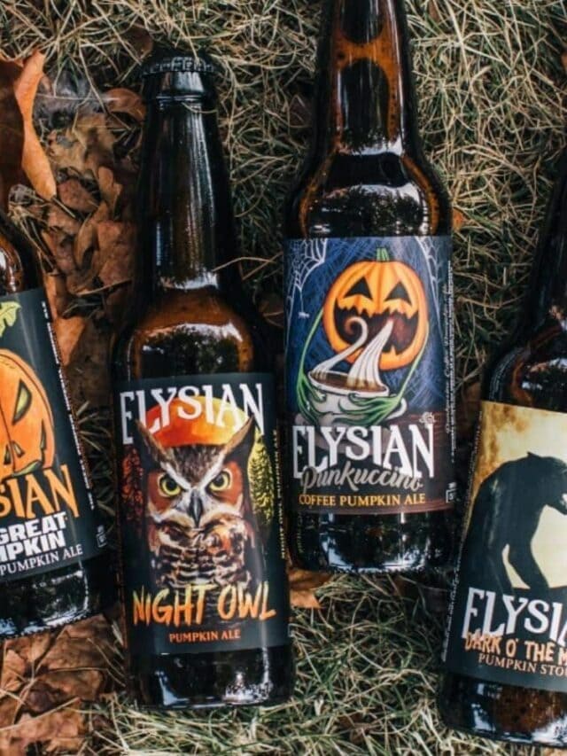 The 13 Best Pumpkin Beers to Drink This Fall (2022)