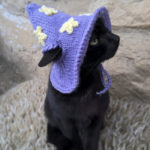 Cats Wearing Hats - Wizard