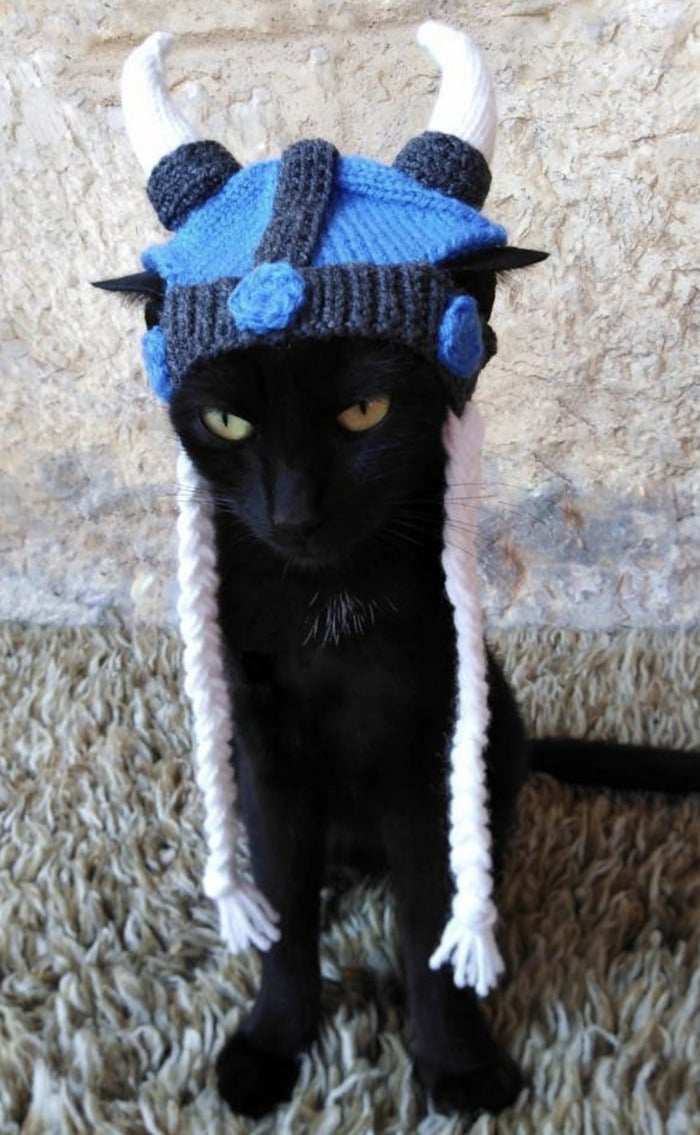 Cats Wearing Hats - Viking Helmet
