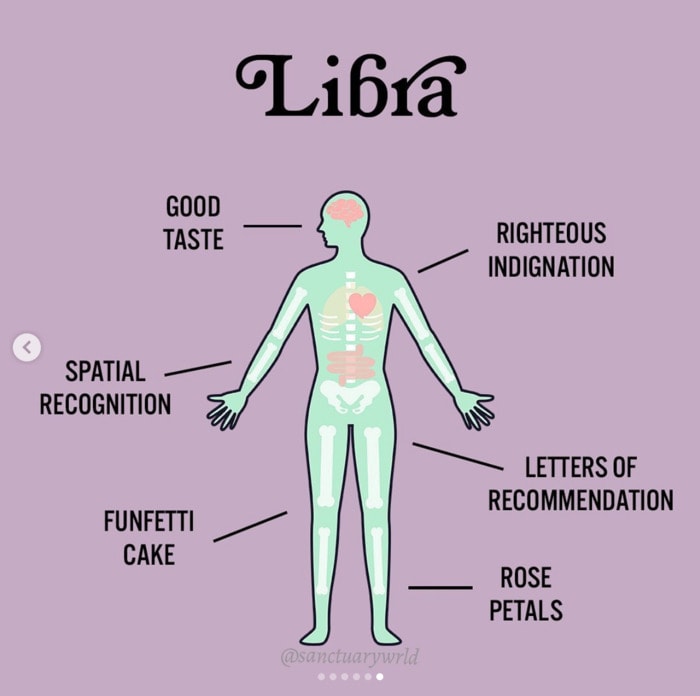 Libra Memes - characteristics