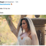 Bachelorette Memes - wedding dress