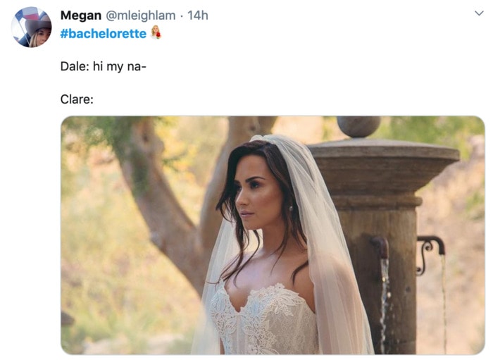 Bachelorette Memes - wedding dress