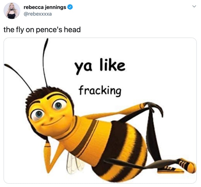 Fly Memes Mike Pence - bee fracking