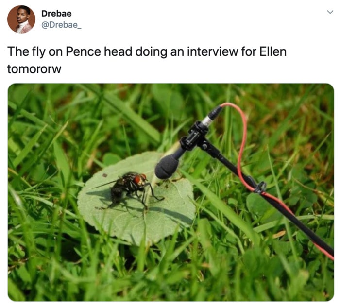 Fly Memes Mike Pence - ellen show