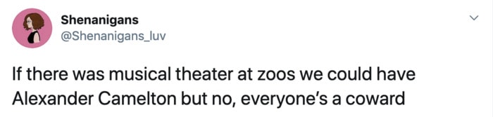 Funny Tweets By Women - Zoos