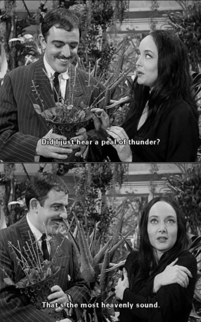 17 Classic Quotes from Goth Icon Morticia Addams - Let's Eat Cake