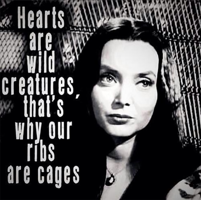 Hearts are wild creatures, that's why our ribs are cages.