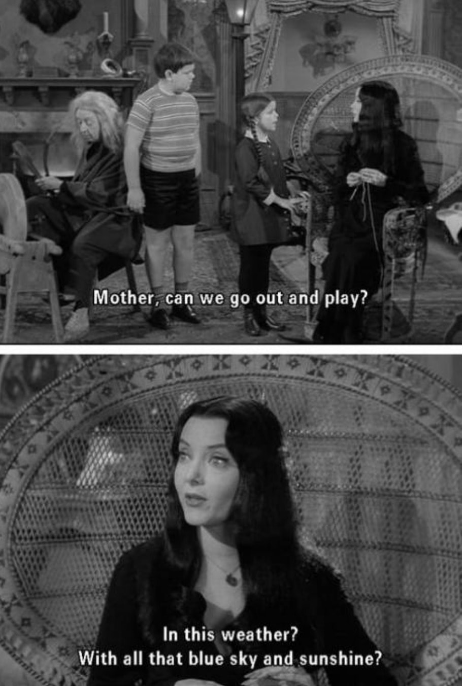 And morticia meme gomez Week Seven