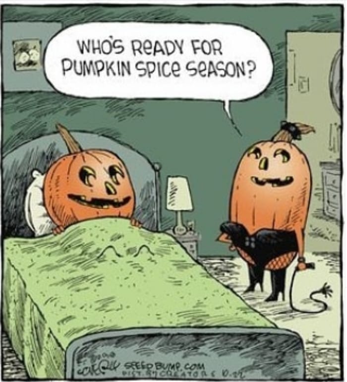 Pumpkin Memes - pumpkin spice