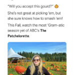 Pumpkin Memes - will you accept this gourd