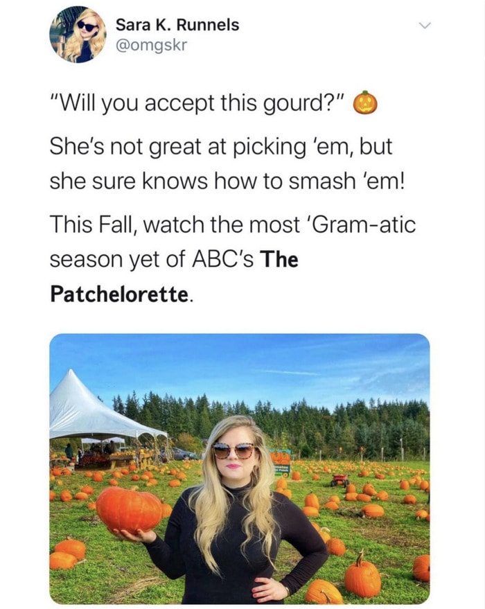 Pumpkin Memes - will you accept this gourd