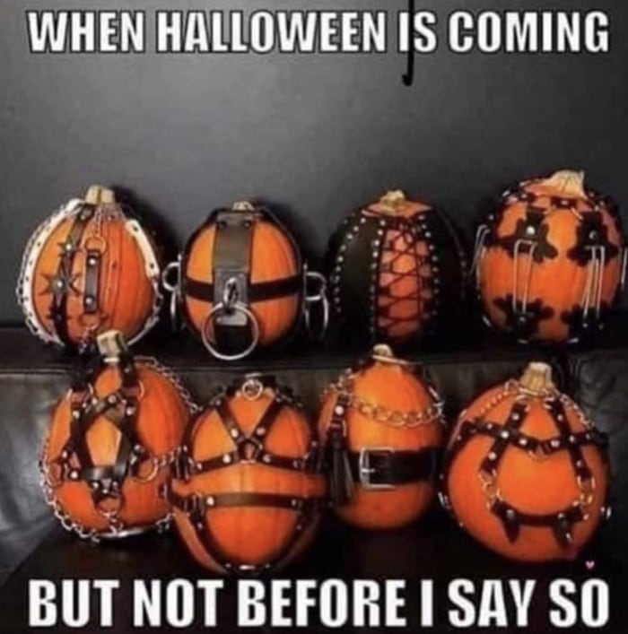 Pumpkin Memes - dom pumpkin