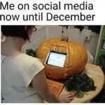 Pumpkin Memes - social