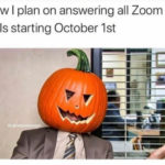 Pumpkin Memes - august 1
