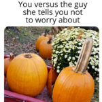 Pumpkin Memes - you vs the guy
