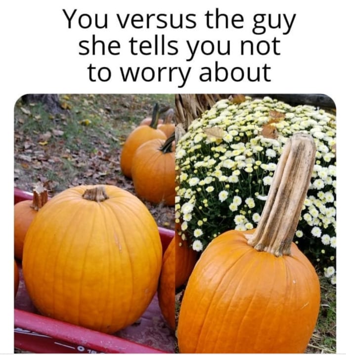Pumpkin Memes - you vs the guy