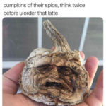 Pumpkin Memes - drained