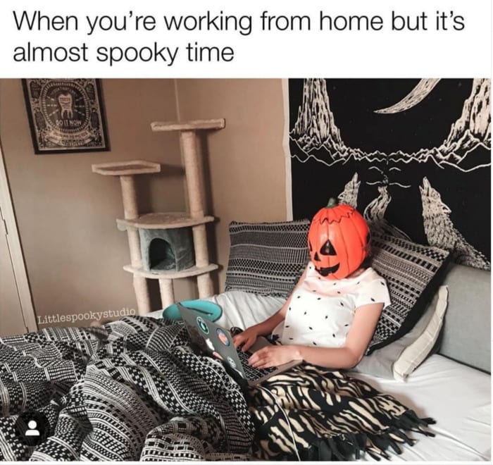 Pumpkin Memes - work