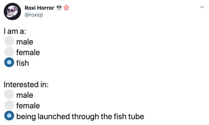 Roxi Horror Tweets - fish tube