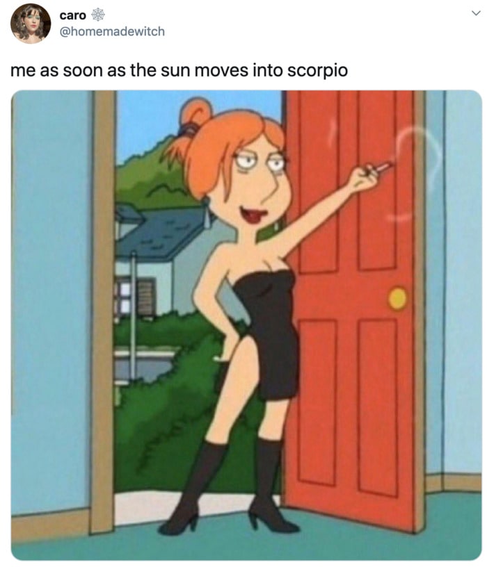 23 Scorpio Memes That'll Leave You Saying It Me | Let's ...