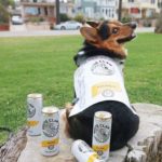 White Claw Halloween Costume - Mango White Claw Dog Jacket