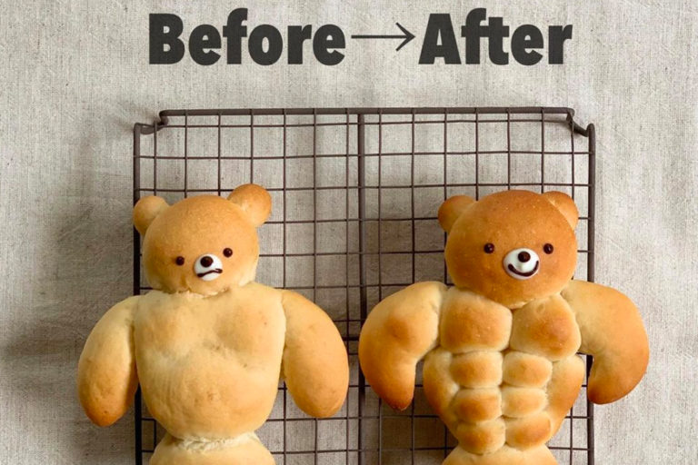 what bread is a teddy bear dog