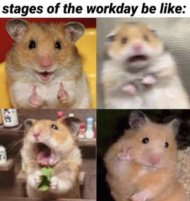 29 of the Cutest Hamster Memes We Could Find (So Far) | Let's Eat Cake