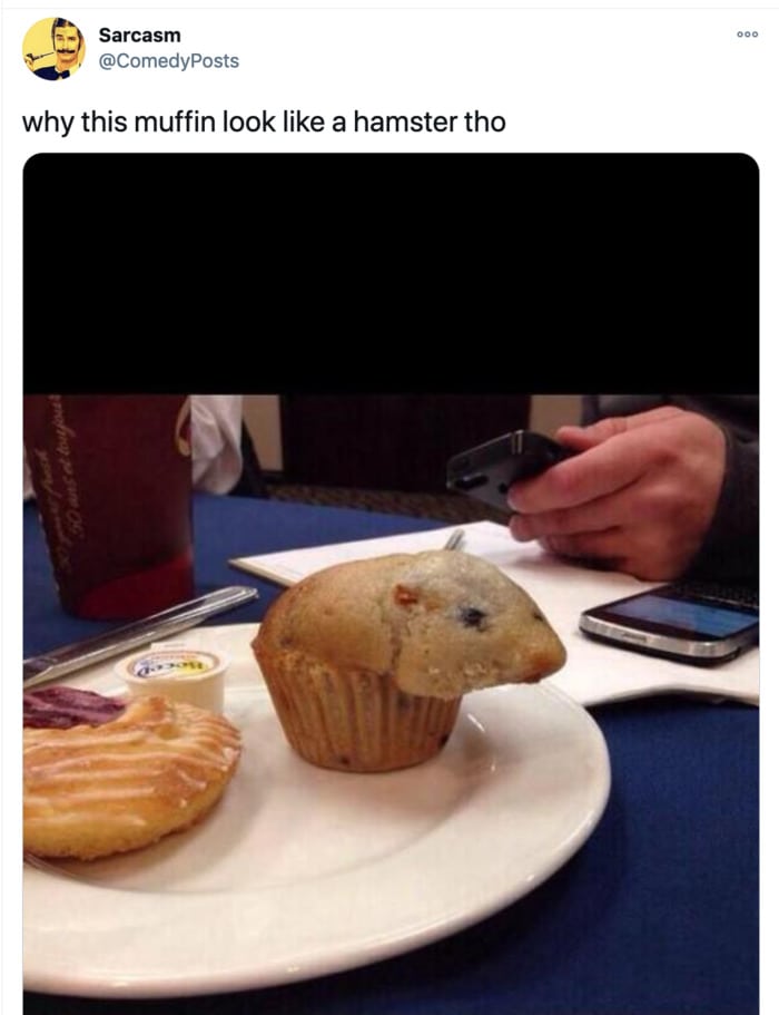 Hamster Memes - Muffin