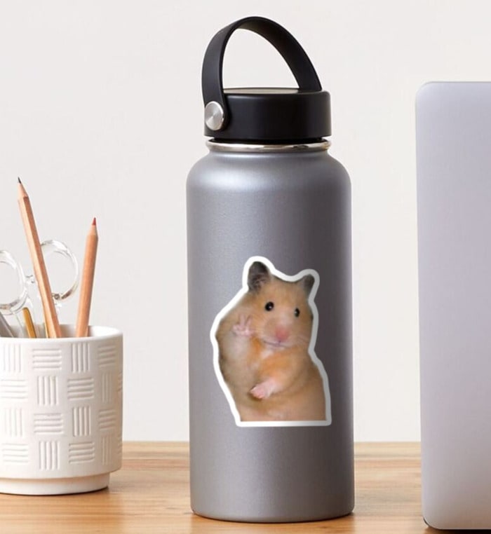 Positive Hamster