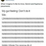 Sagittarius Memes - gut