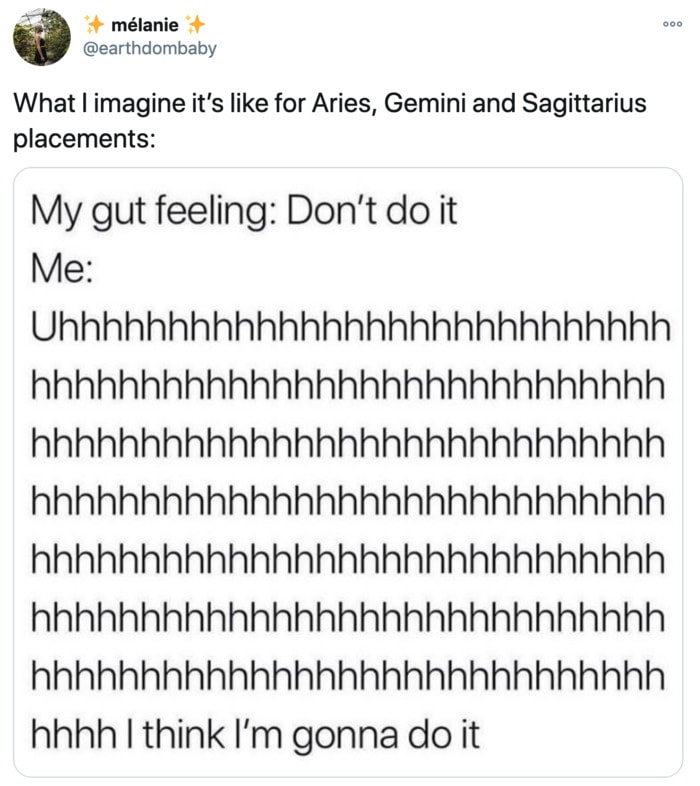 Sagittarius Memes - gut