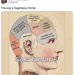 Sagittarius Memes - mind of