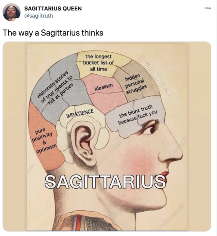 Sagittarius Memes - mind of