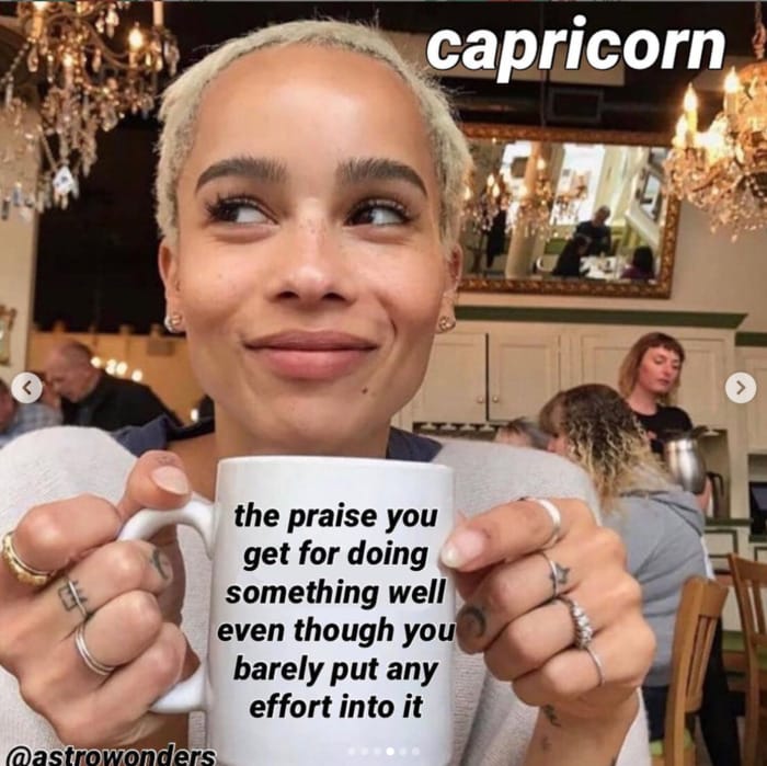 21 Funny Capricorn Memes For All the Goats Out There | Let ...