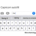Capricorn autofill
