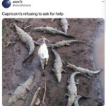 Capricorn Memes - goat and alligators