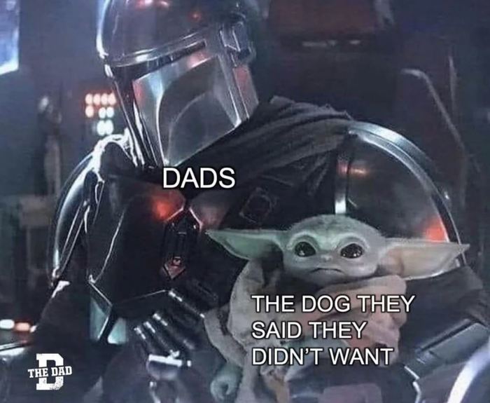 Star Wars Memes - Dads with baby yoda as the dog they said they didn't want