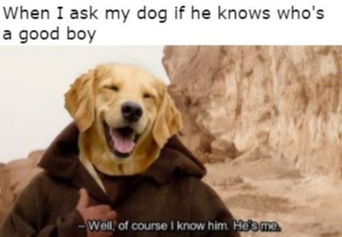 Star Wars Memes - When I ask my dog if he knows who's a good boy, Ben Obi Well of course I know him, he's me