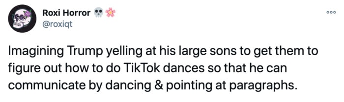 Trump Twitter Ban Tweets - TikTok