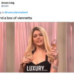 Viennetta Ice Cream Cake - luxury SNL