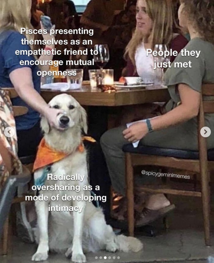 Pisces Memes - dog at table