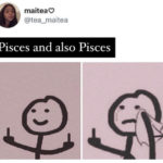 Pisces Memes - stick figure crying