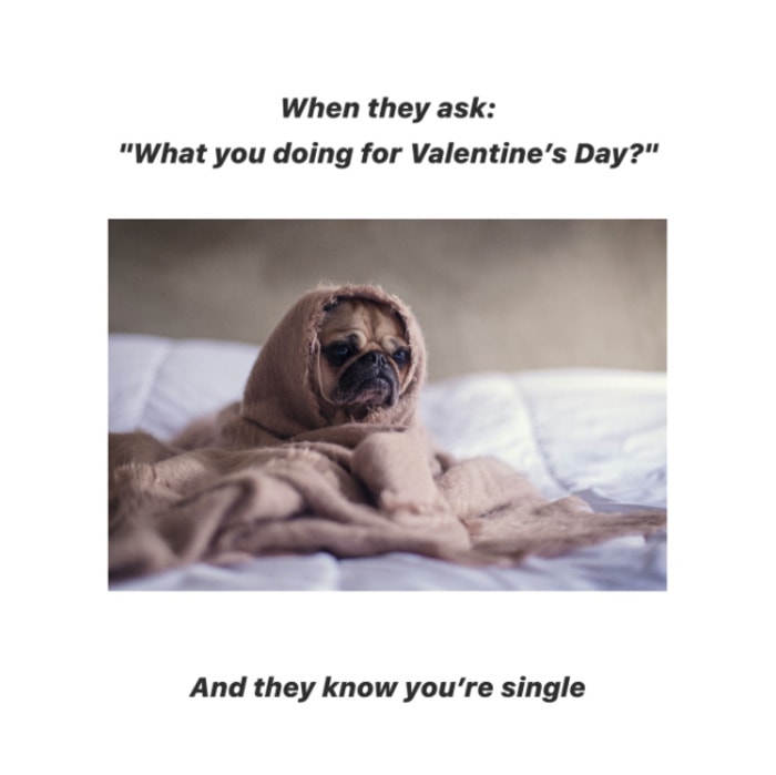 Valentine's Day Memes - know you're single