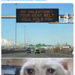 Valentine's Day Memes - seat belt