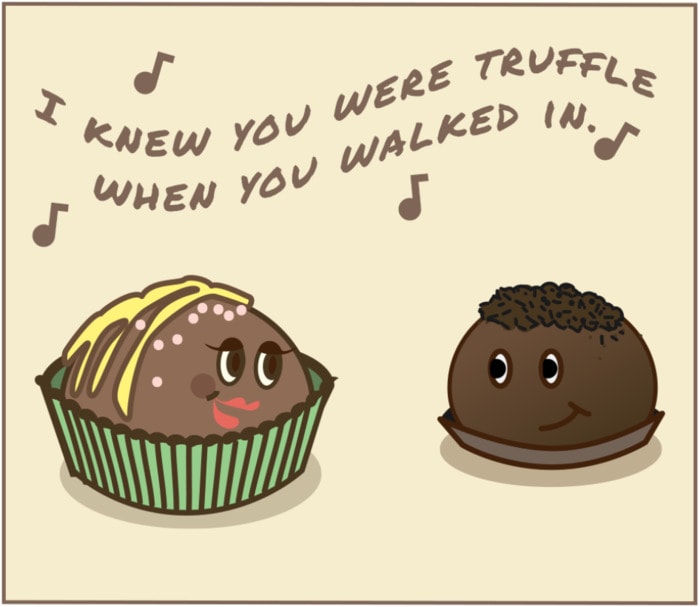 Chocolate Puns - Truffles