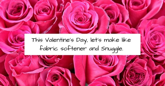 Valentines Day Jokes - lets snuggle